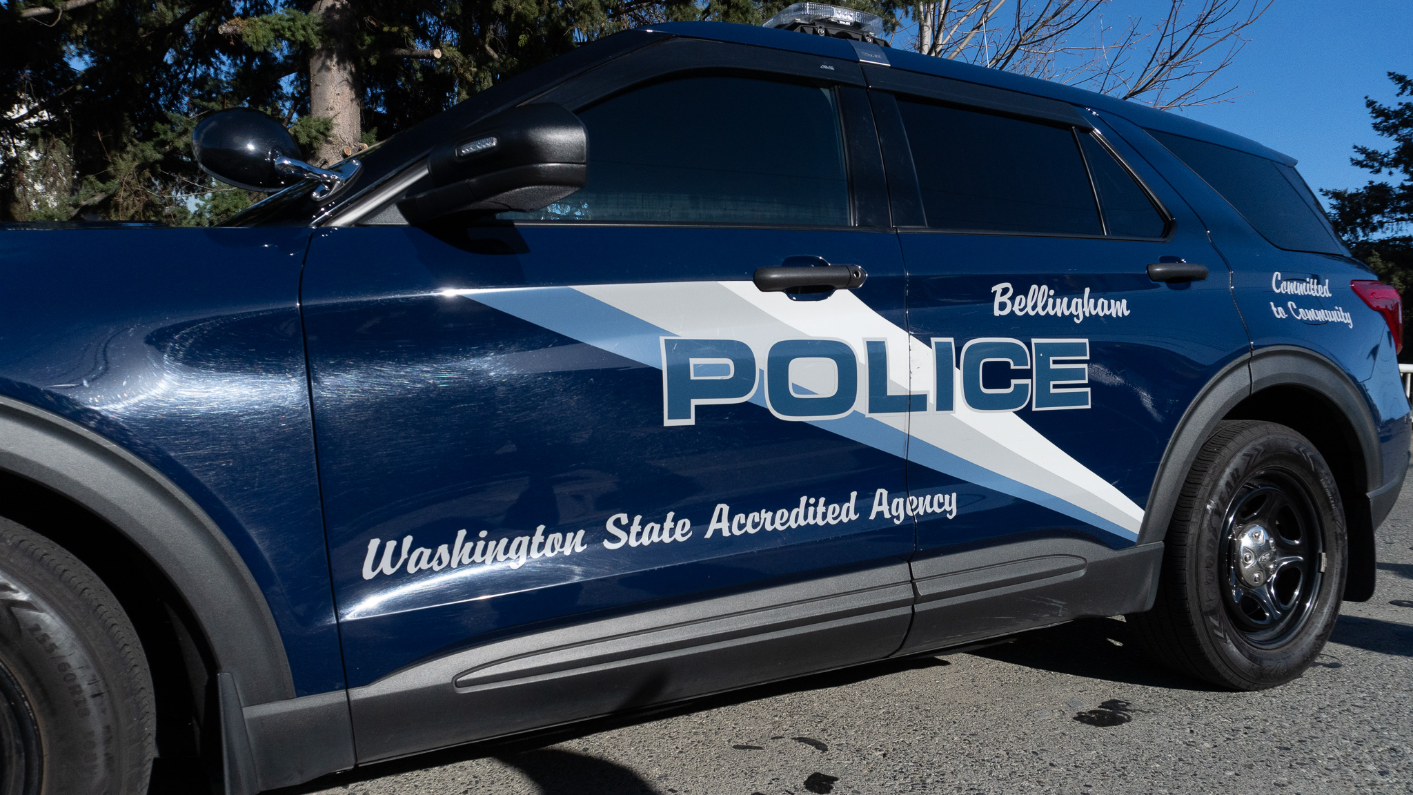 Bellingham man arrested after allegedly stabbing passerby with a pocketknife