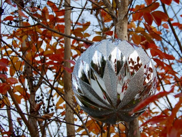 Christmas festivities near reading