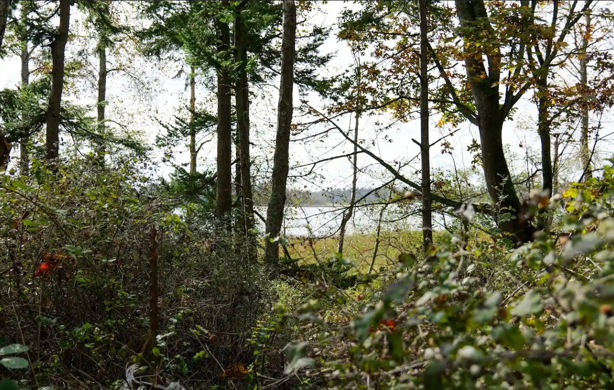 A portion of the property purchased by WTA in an effort to lower carbon emissions. Courtesy of Whatcom Transportation Authority
