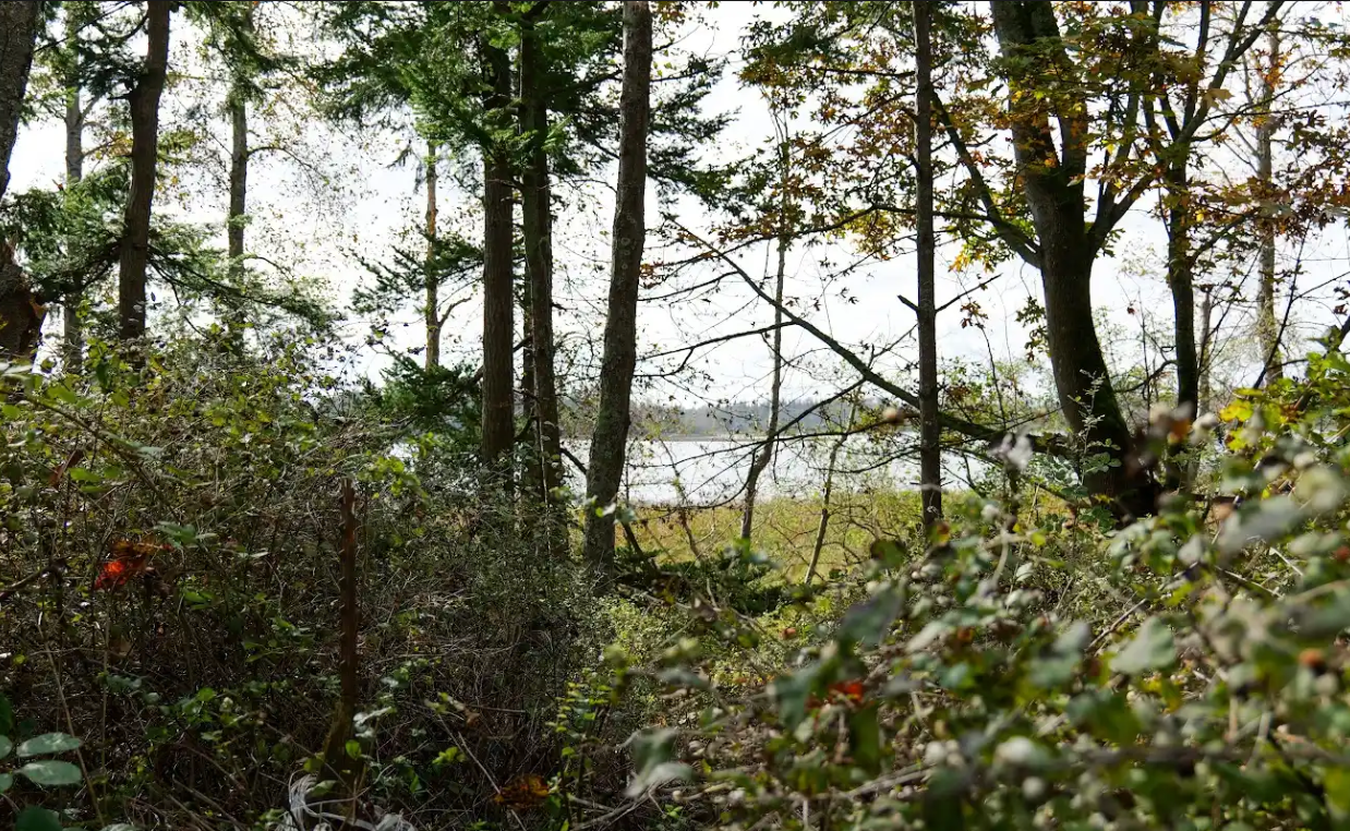 A portion of the property purchased by WTA in an effort to lower carbon emissions. Courtesy of Whatcom Transportation Authority
