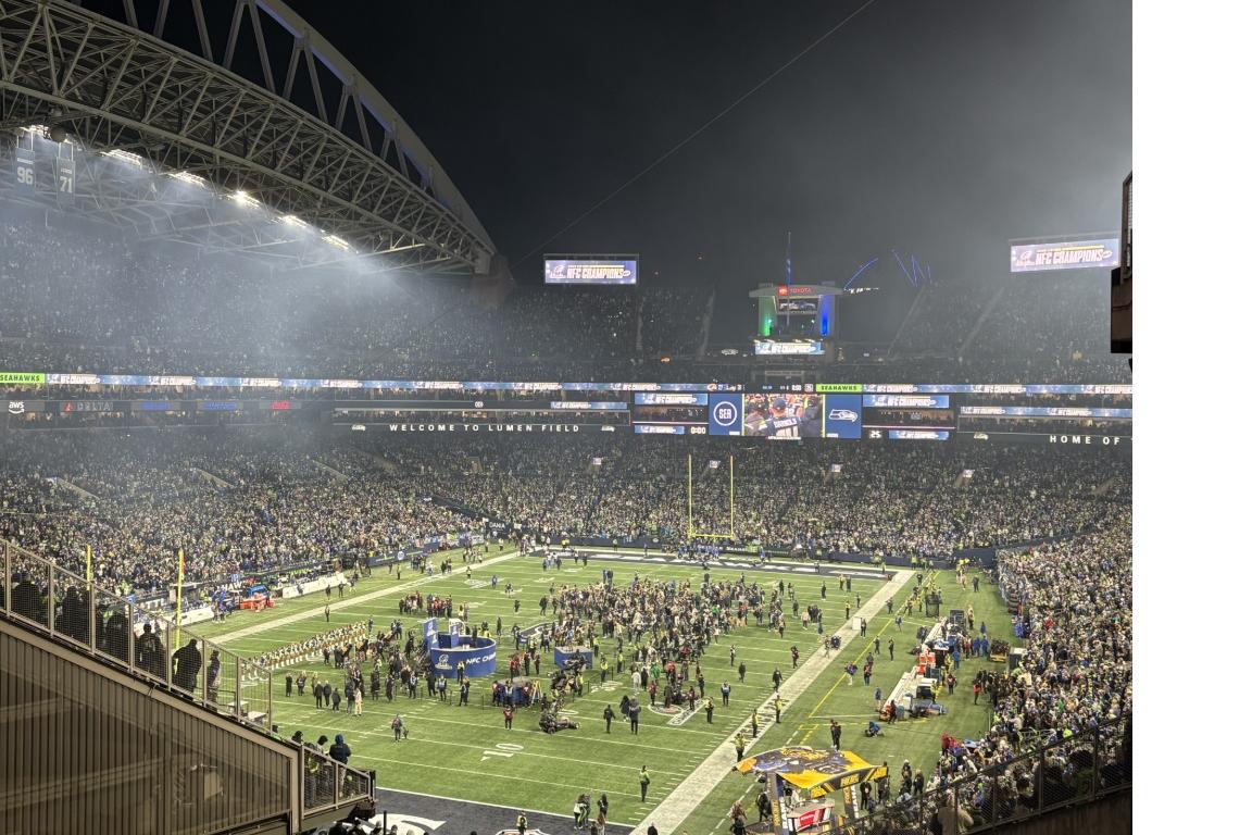 seahawks, football, NFC championship