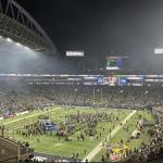 seahawks, football, NFC championship