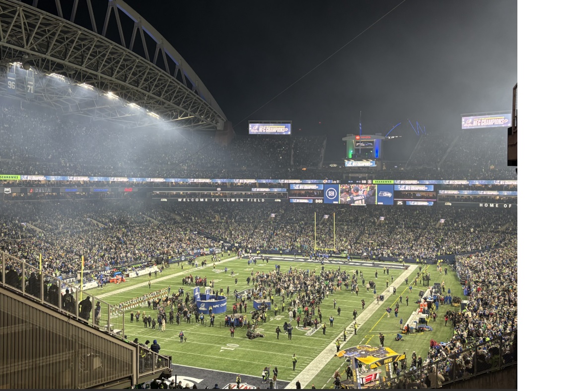 seahawks, football, NFC championship