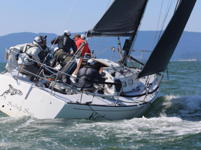 bellingham race week regatta