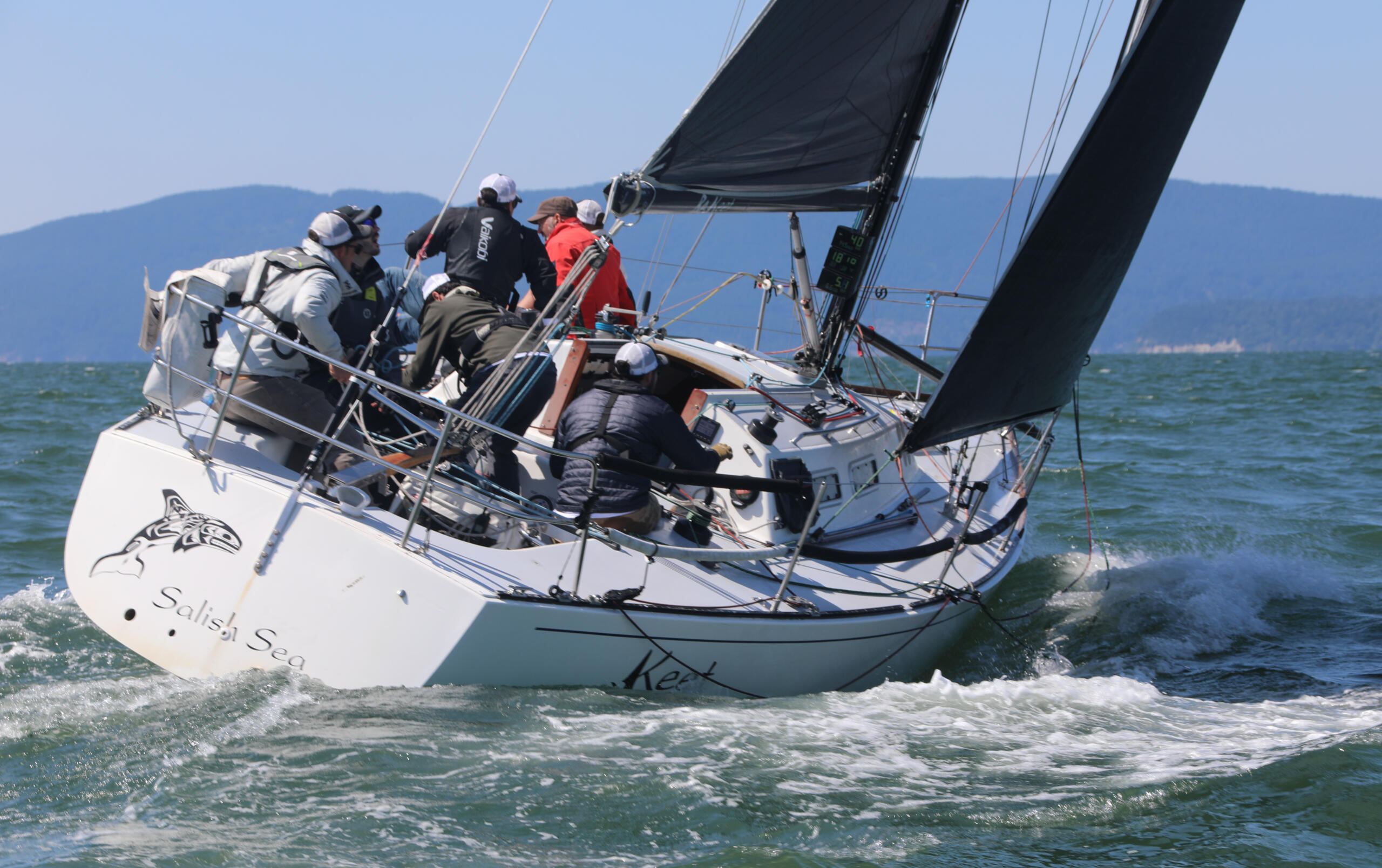 bellingham race week regatta
