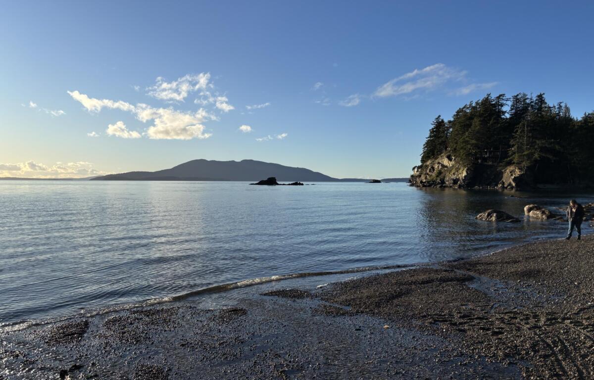 Coastal scene with calm water, a pebble beach, and a forested rocky cliff on the right under a clear blue sky.