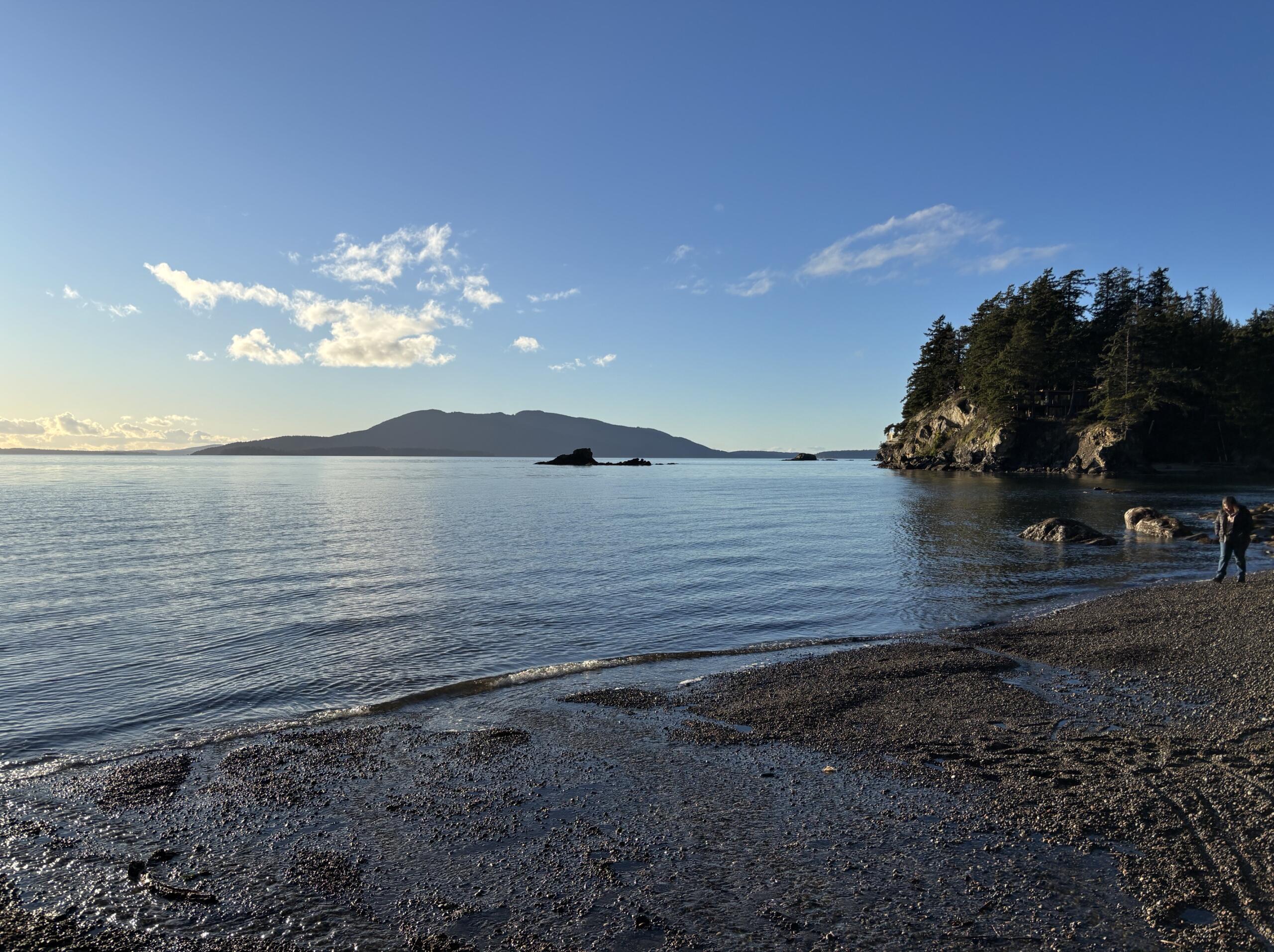 Coastal scene with calm water, a pebble beach, and a forested rocky cliff on the right under a clear blue sky.