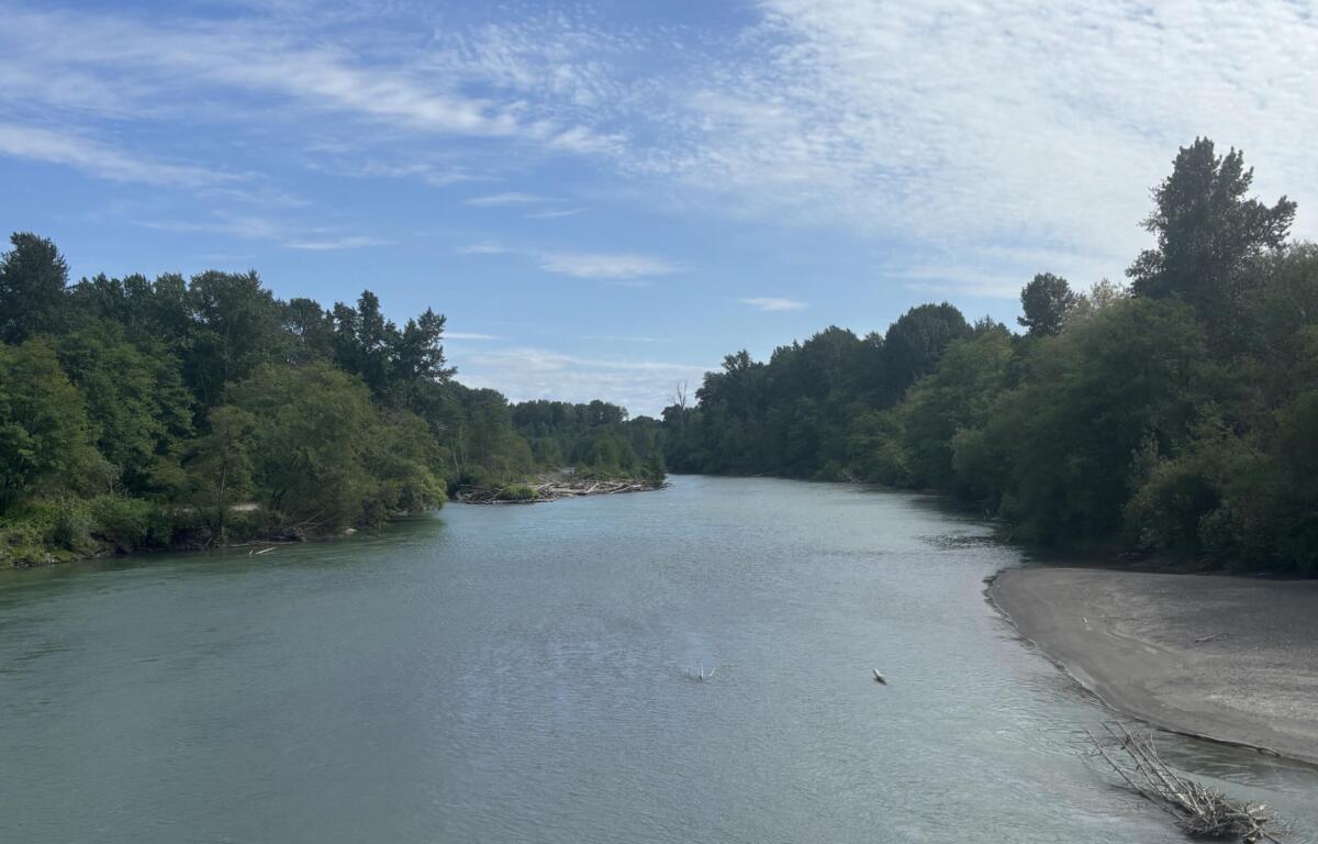 River bordered by dense green trees on both sides, with a blue sky and light clouds; logs and driftwood along the near shore on the right.