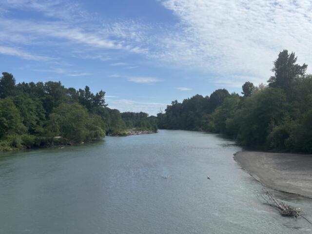 River bordered by dense green trees on both sides, with a blue sky and light clouds; logs and driftwood along the near shore on the right.