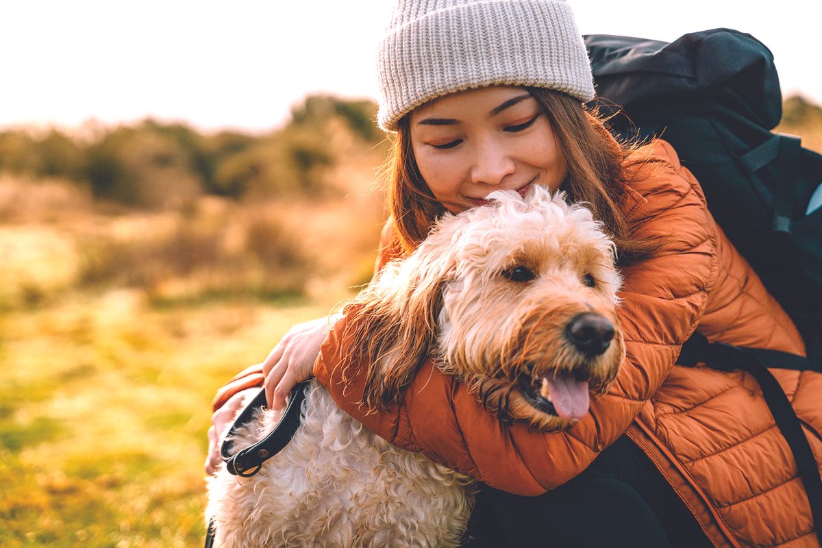 Keeping your furry travel buddy healthy this June