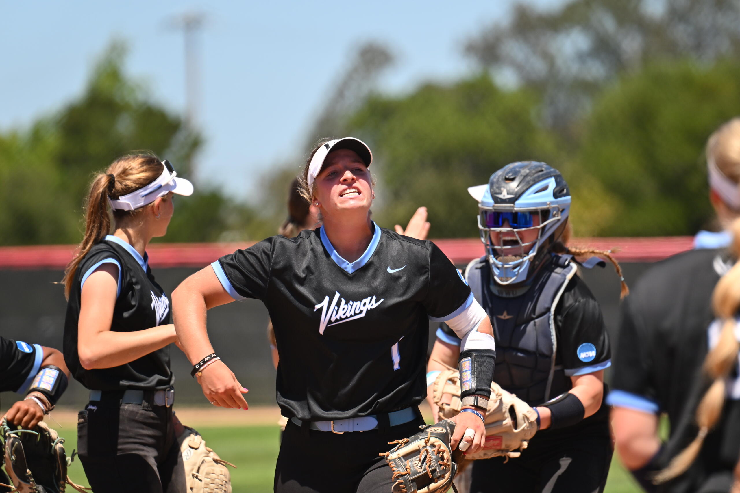 wwu vikings softball west regional