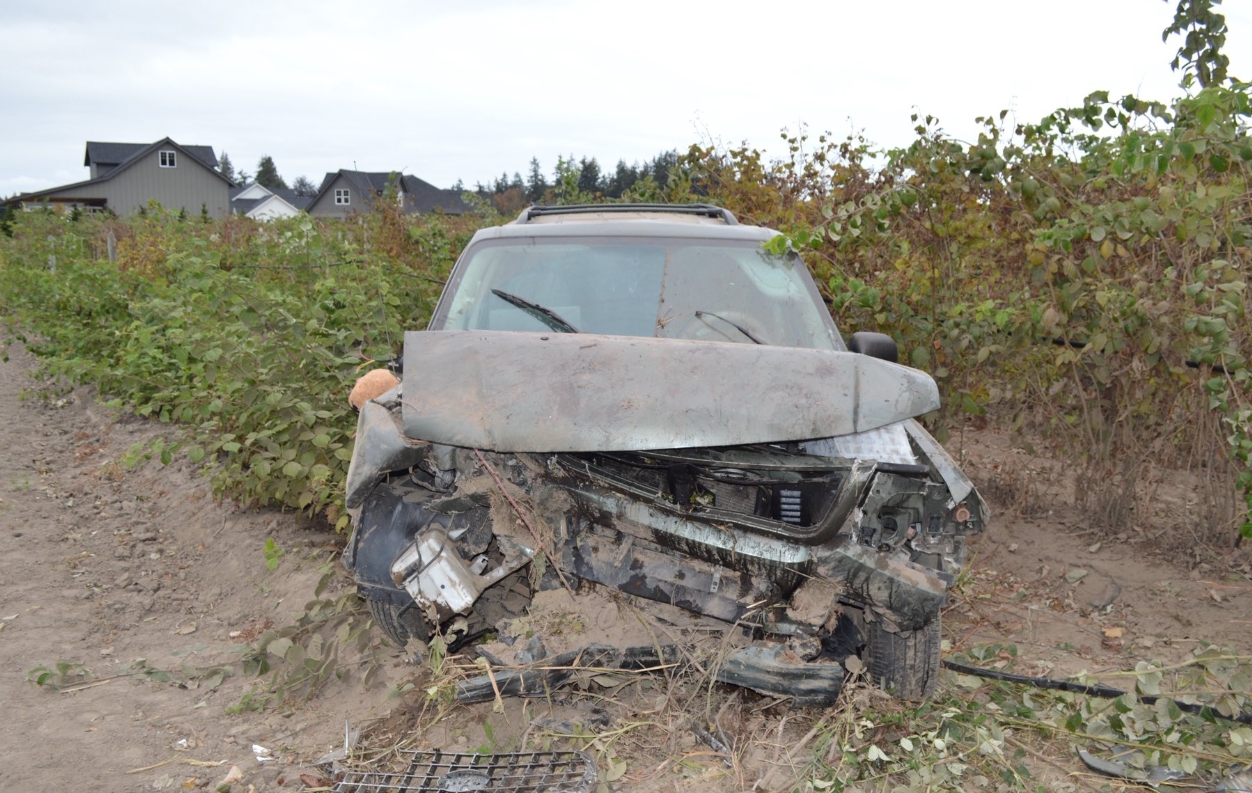 Front end of a crushed SUV with a bent hood and exposed engine, sitting in a dirt lot surrounded by bushes and vines in a rural area