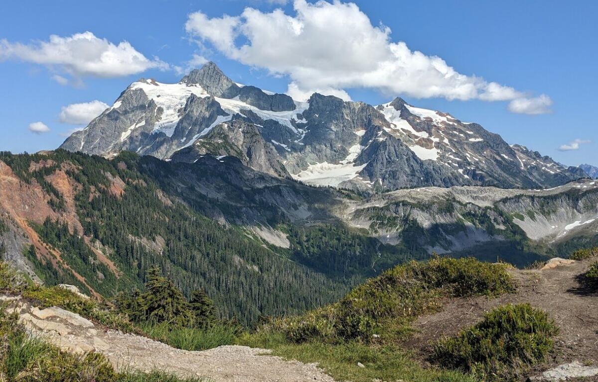 Snowy, jagged mountain peak under a blue sky, viewed from a rocky dirt trail with green shrubs in the foreground.