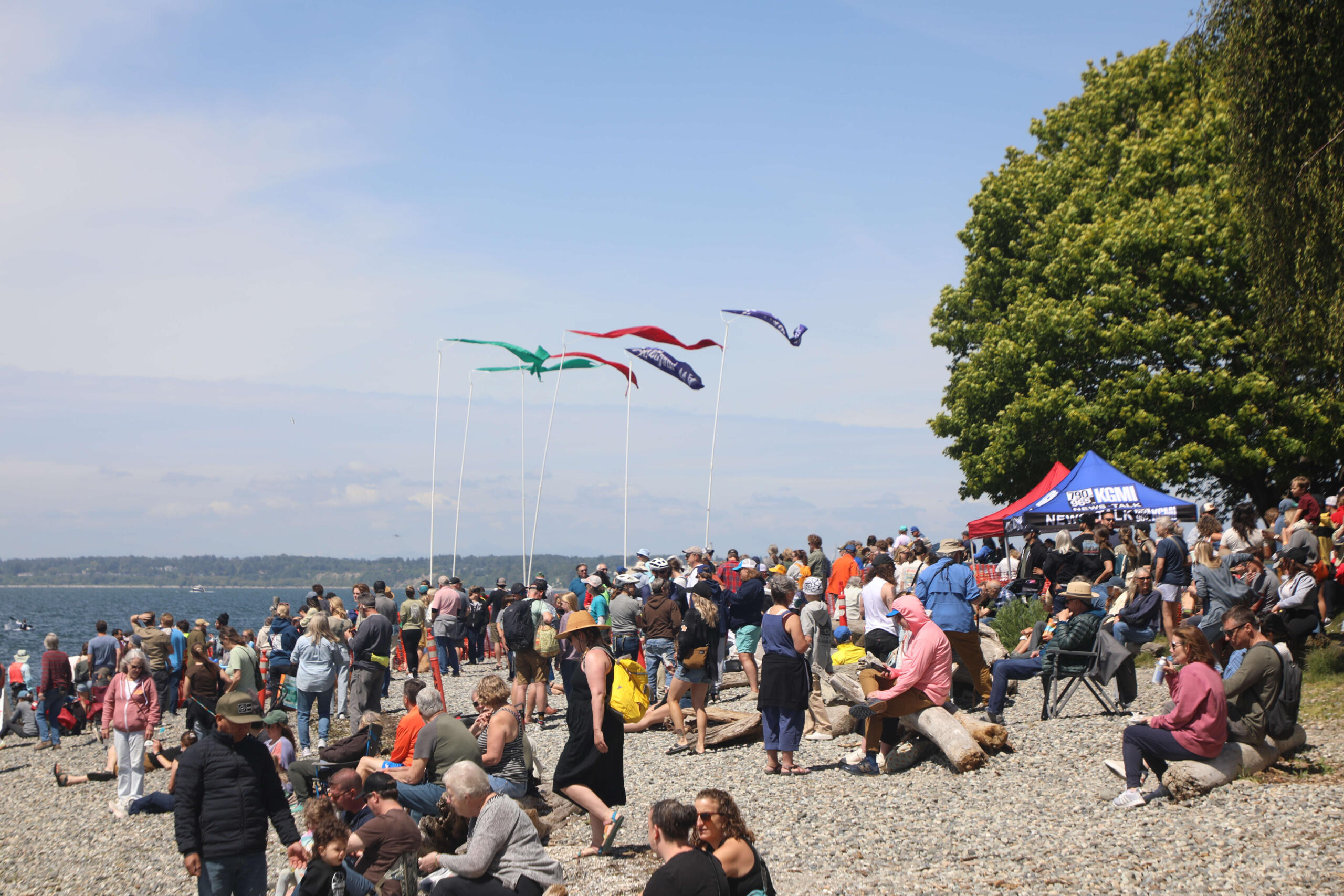 Large crowd gathered on a pebbled beach for an outdoor event, with colorful flags on tall poles and tents to the right.