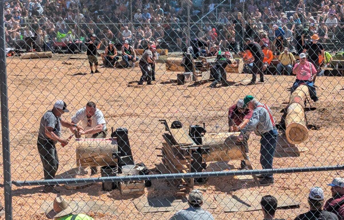 Large crowd in bleachers behind a chain-link fence at an outdoor event, with workers on the dirt arena in the foreground.
