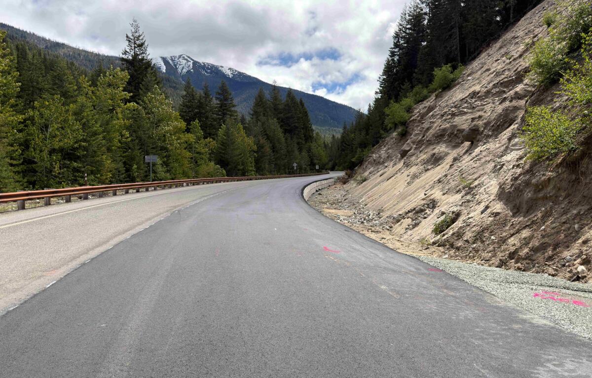 Curving mountain road flanked by a rocky cliff on the right and dense evergreen forest on the left, with snow-capped mountains in the distance.