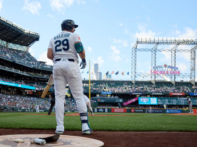 Baseball batter wearing number 29 stands at home plate with bat in hand, seen from behind in a full stadium.