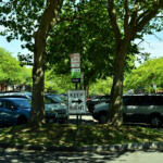 Parking lot under leafy trees with a prominent 'KEEP RIGHT' sign in the foreground and parked cars along the curb beneath a sunny sky.