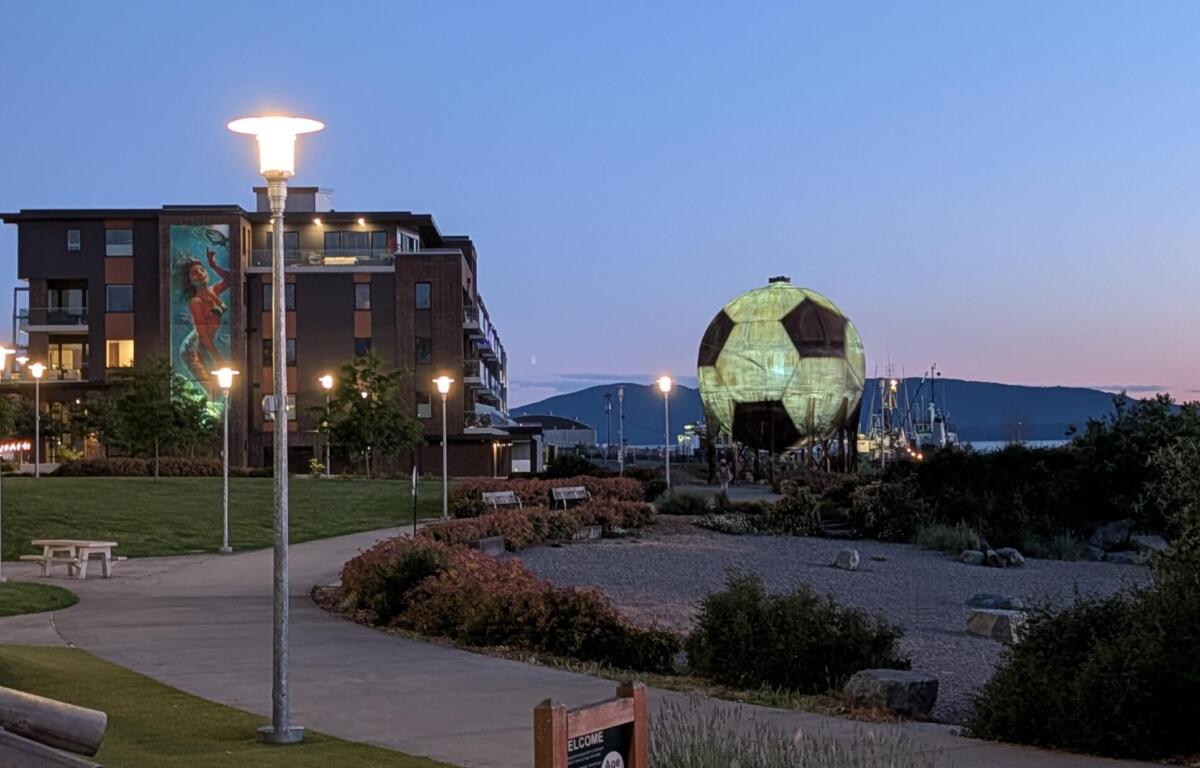 Bellingham acid ball soccer FIFA World Cup 2026