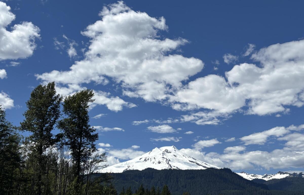 Snowy alpine mountains with a dense forest in the foreground under a blue sky with white clouds.