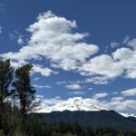 Snowy alpine mountains with a dense forest in the foreground under a blue sky with white clouds.