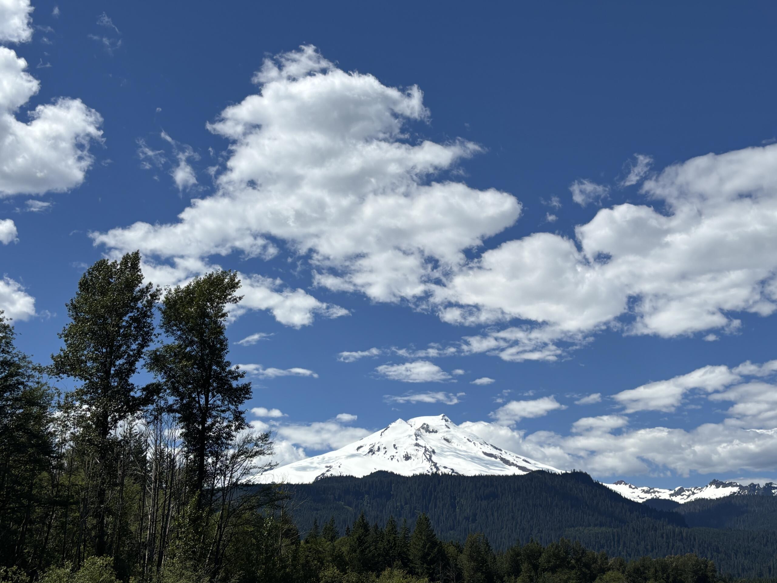 Snowy alpine mountains with a dense forest in the foreground under a blue sky with white clouds.