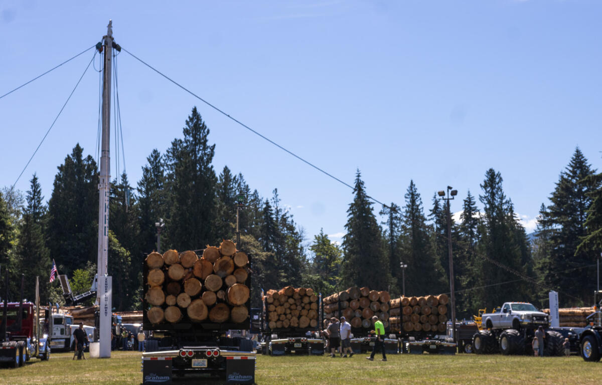 Flatbed trailers stacked with large logs at an outdoor logging event, with evergreen trees in the background and bystanders nearby.
