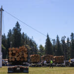 Flatbed trailers stacked with large logs at an outdoor logging event, with evergreen trees in the background and bystanders nearby.