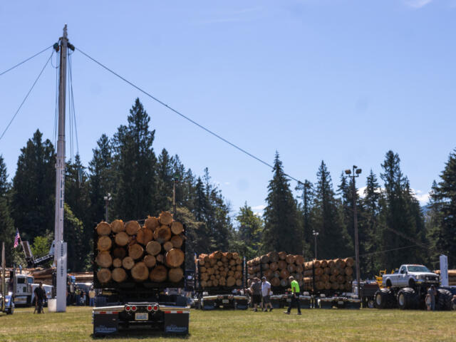 Flatbed trailers stacked with large logs at an outdoor logging event, with evergreen trees in the background and bystanders nearby.