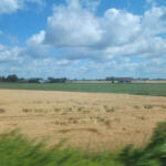 Golden wheat field in the foreground with green fields and farm buildings on the horizon under a blue, cloud-filled sky.