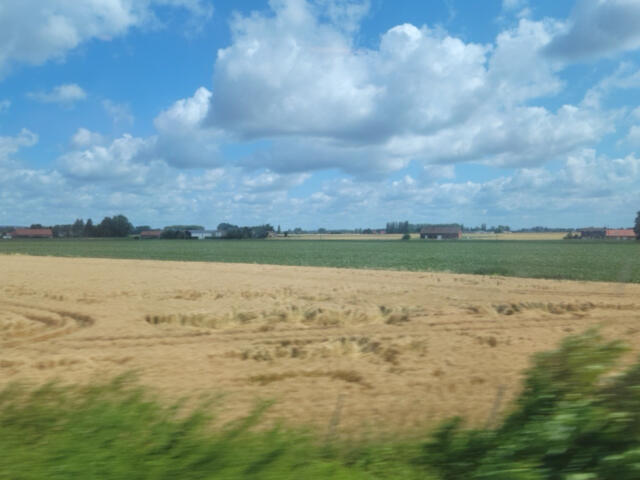 Golden wheat field in the foreground with green fields and farm buildings on the horizon under a blue, cloud-filled sky.