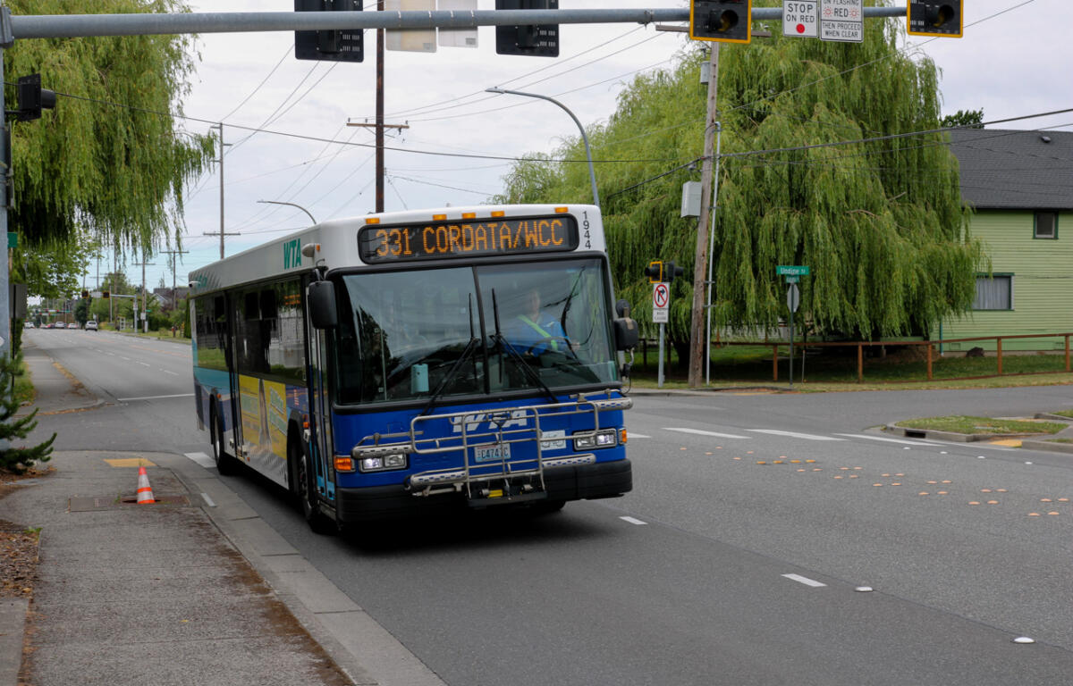 Blue city bus with front bike rack on a street, displaying route 331 Cordata/WCC ahead of a green residential area.