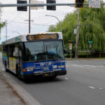 Blue city bus with front bike rack on a street, displaying route 331 Cordata/WCC ahead of a green residential area.