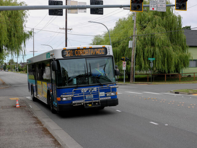 Blue city bus with front bike rack on a street, displaying route 331 Cordata/WCC ahead of a green residential area.