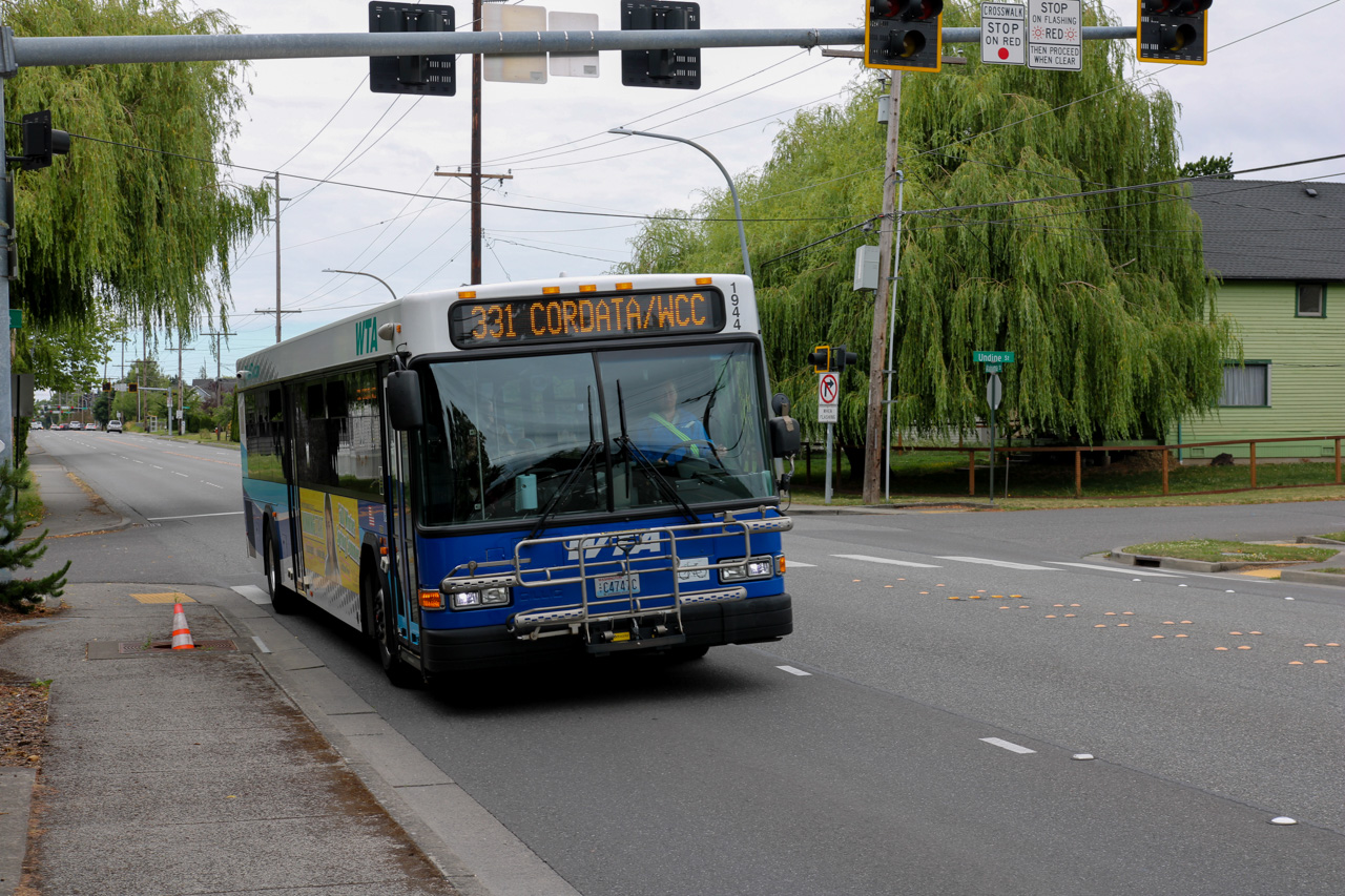 Blue city bus with front bike rack on a street, displaying route 331 Cordata/WCC ahead of a green residential area.