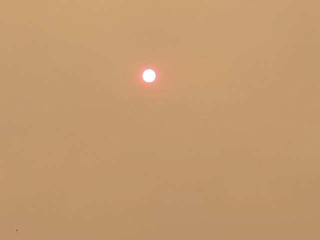 Small bright sun in a hazy orange sky, suggesting sunset or sunrise.
