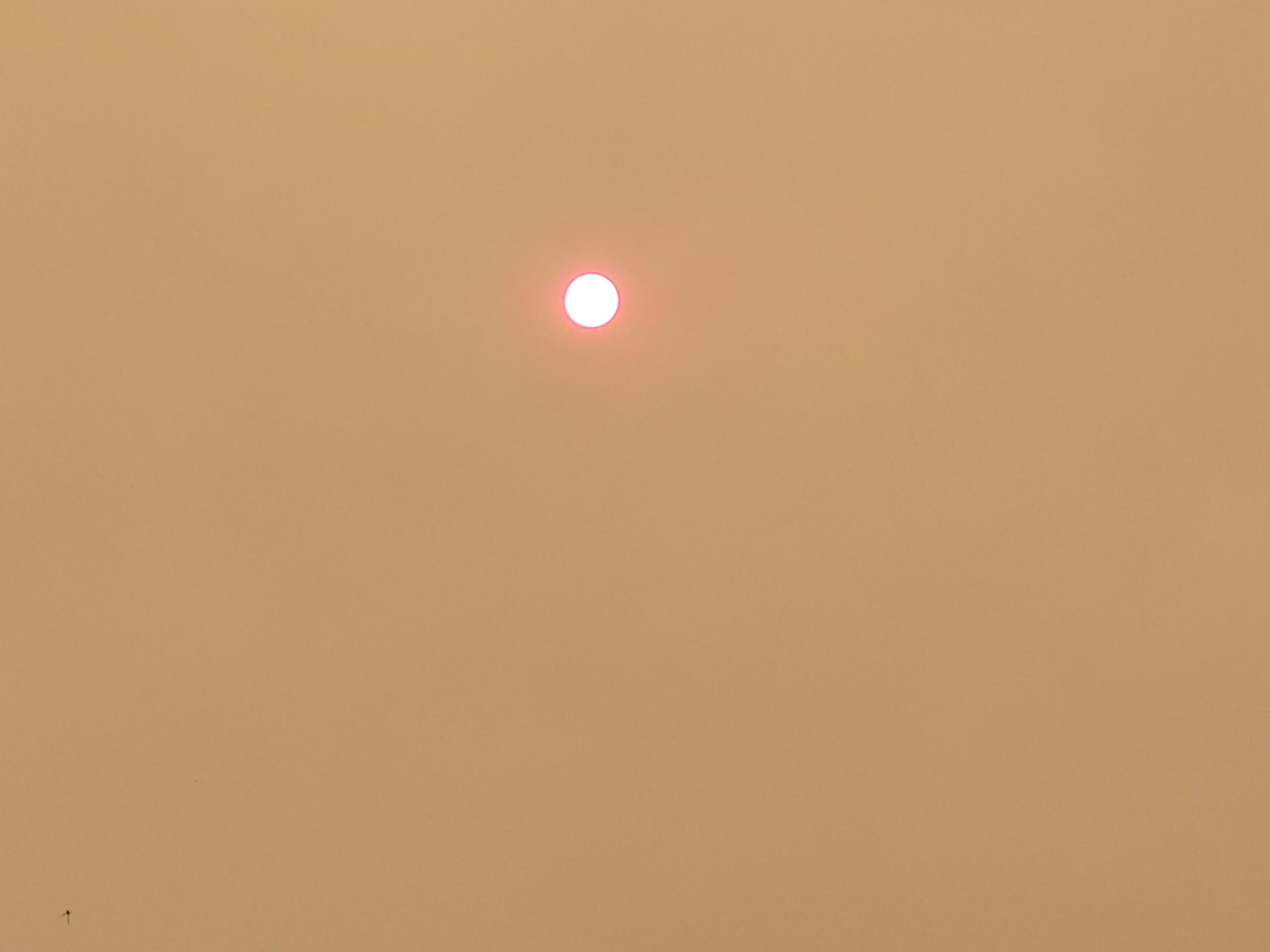 Small bright sun in a hazy orange sky, suggesting sunset or sunrise.