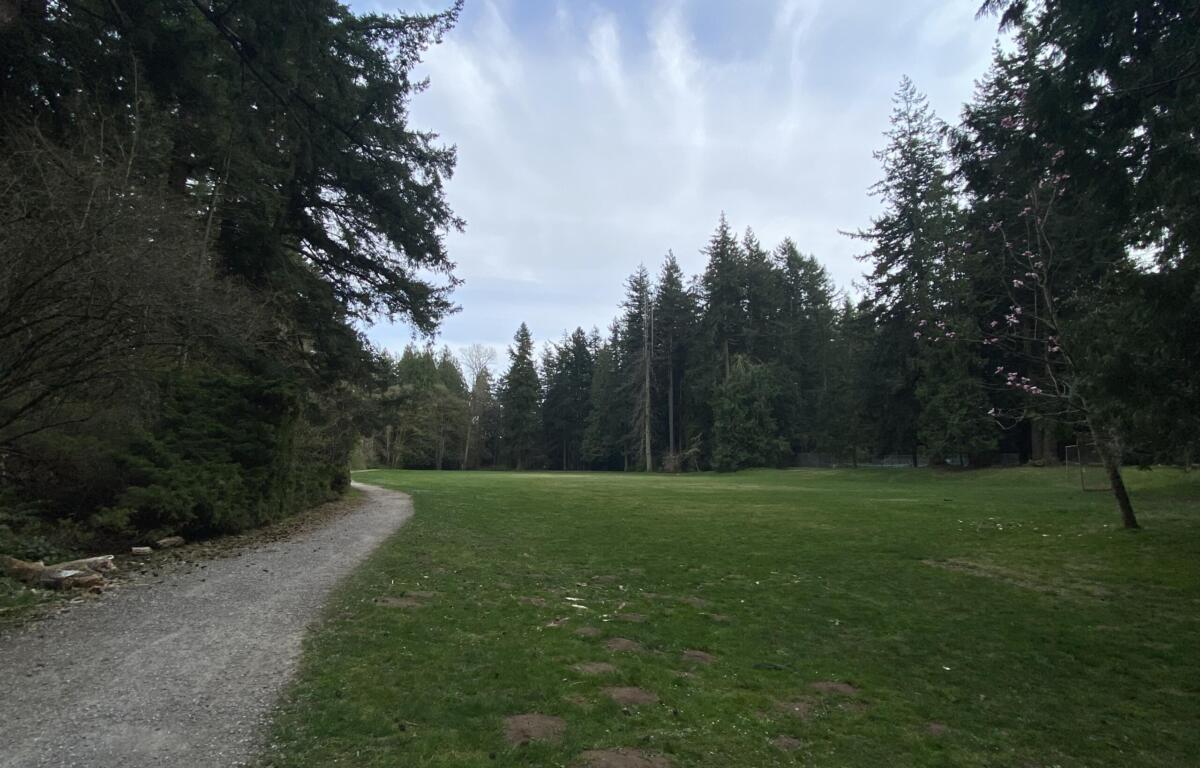 Gravel path winds through a grassy park edged by tall evergreen trees under a cloudy sky, with pink blossoms on the right.