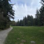 Gravel path winds through a grassy park edged by tall evergreen trees under a cloudy sky, with pink blossoms on the right.