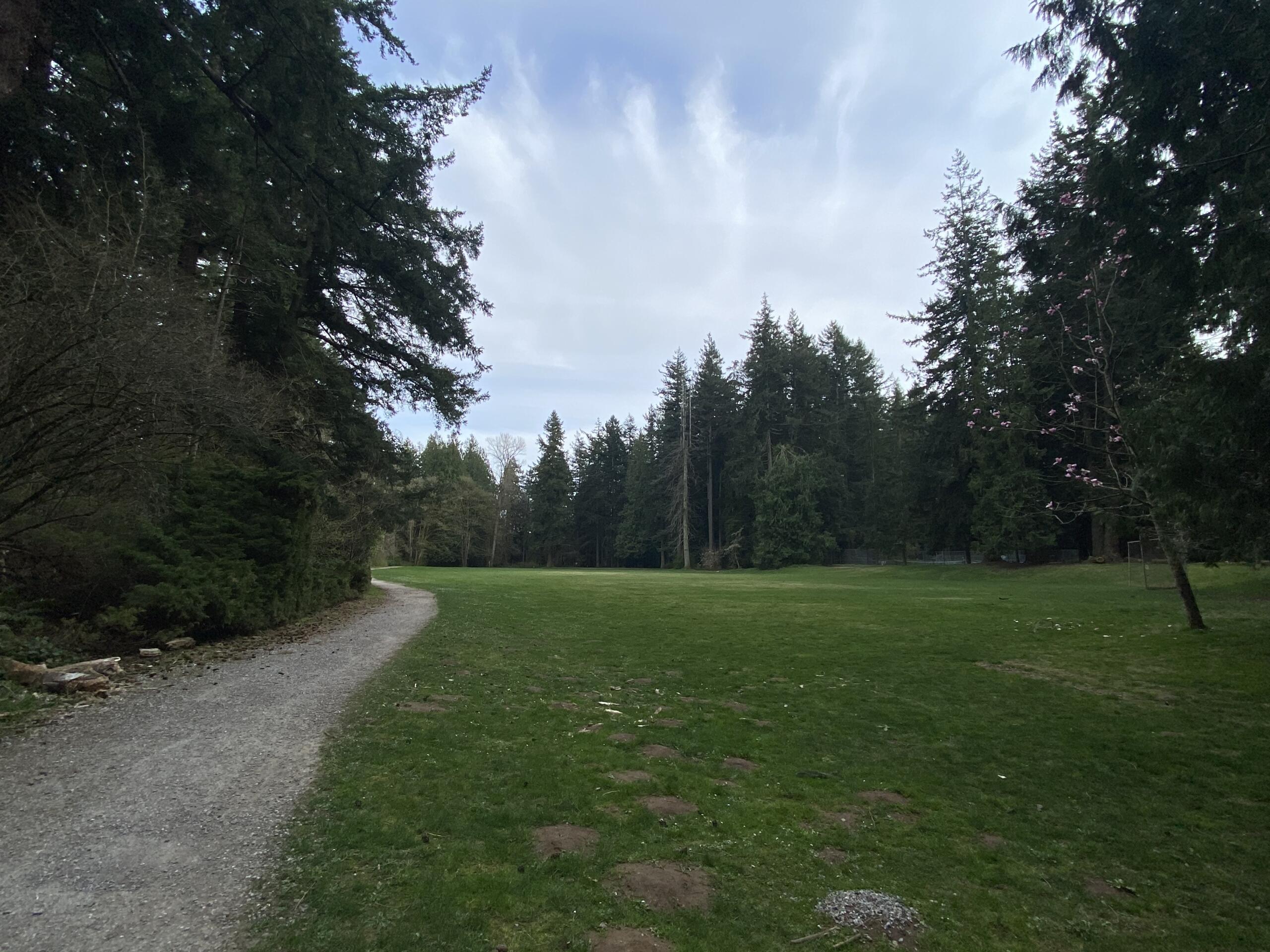 Gravel path winds through a grassy park edged by tall evergreen trees under a cloudy sky, with pink blossoms on the right.