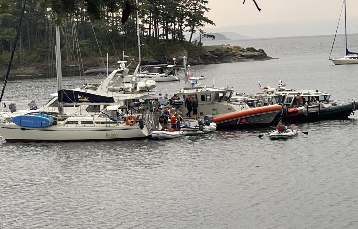 Many boats and yachts docked at a harbor, with a rocky shoreline and pine trees in the background far beyond the water.