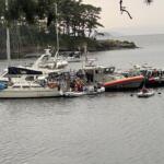 Many boats and yachts docked at a harbor, with a rocky shoreline and pine trees in the background far beyond the water.