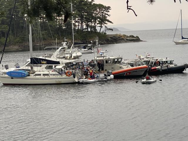 Many boats and yachts docked at a harbor, with a rocky shoreline and pine trees in the background far beyond the water.
