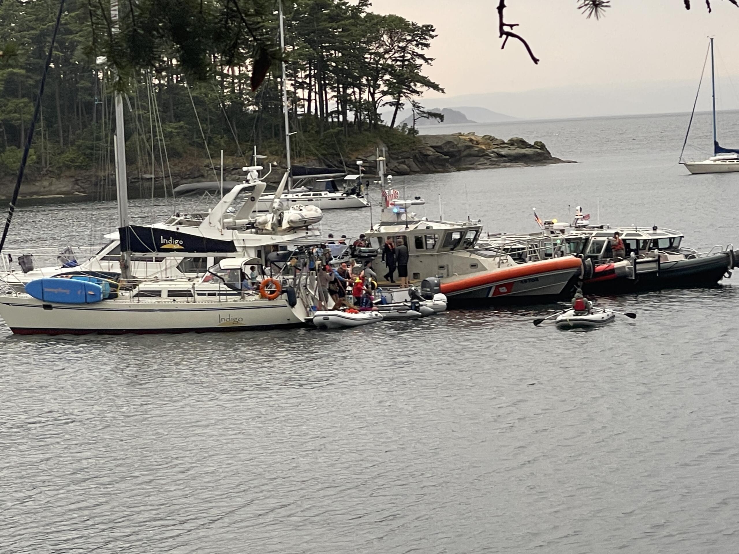 Many boats and yachts docked at a harbor, with a rocky shoreline and pine trees in the background far beyond the water.