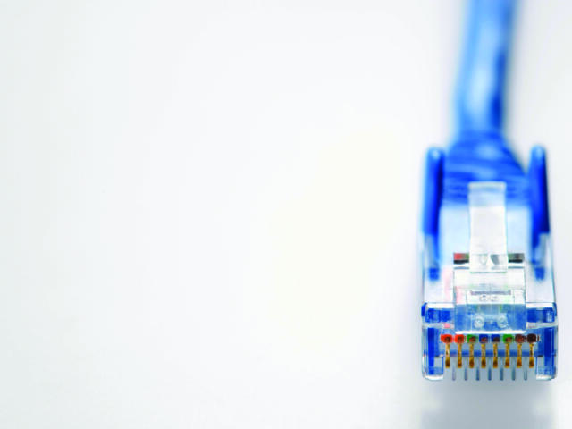 Close-up of a blue RJ-45 Ethernet connector with gold contacts at the right edge on a white background, taken from the side