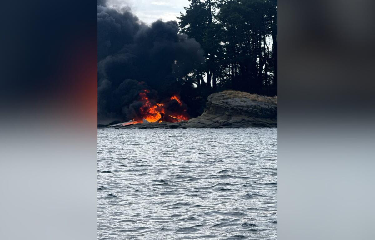 Fire on the rocky shoreline with thick black smoke rising, flames at the water's edge and trees in the background, by a body of water.