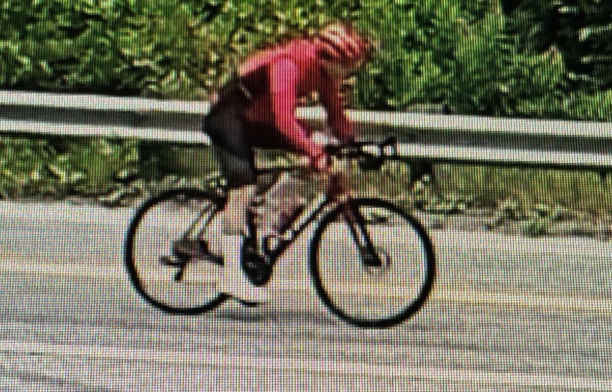 Cyclist wearing a red jersey rides a road bike along a paved road beside a guardrail with green foliage in the background, motion blurred to show speed