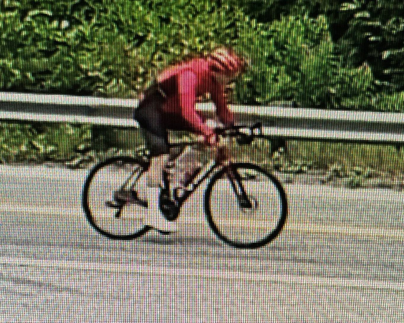 Cyclist wearing a red jersey rides a road bike along a paved road beside a guardrail with green foliage in the background, motion blurred to show speed